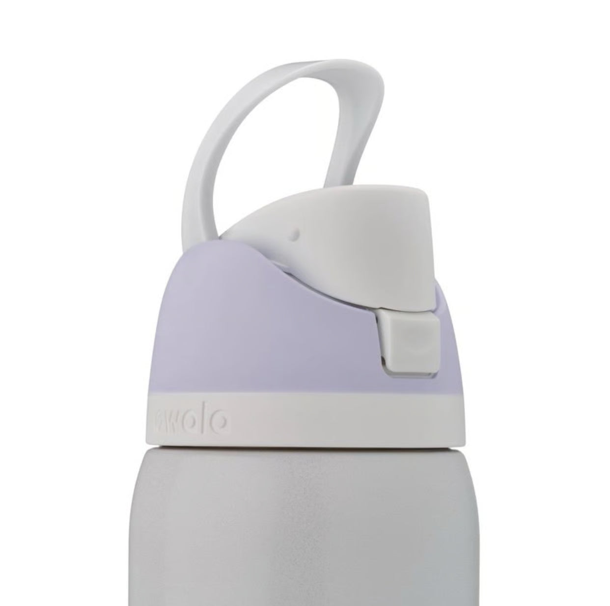 Snowglobe Owala 32oz